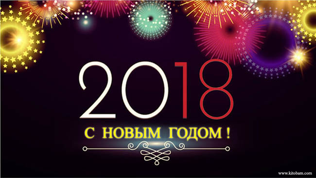 С Новым годом 2018!